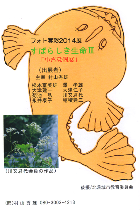 フォト写彩2014展　すばらしき生命III